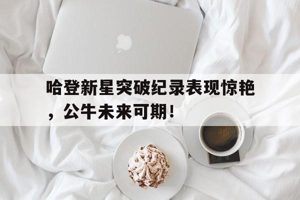 关于哈登新星突破纪录表现惊艳，公牛未来可期！的信息